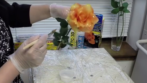 如何用树脂包裹鲜花