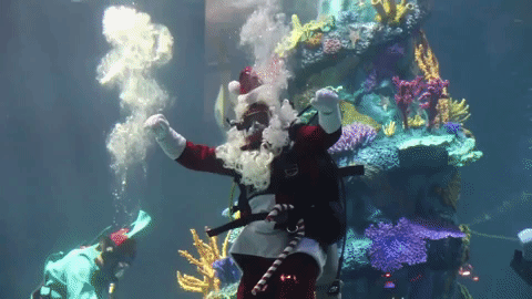 制作世界上最大的水下圣诞树